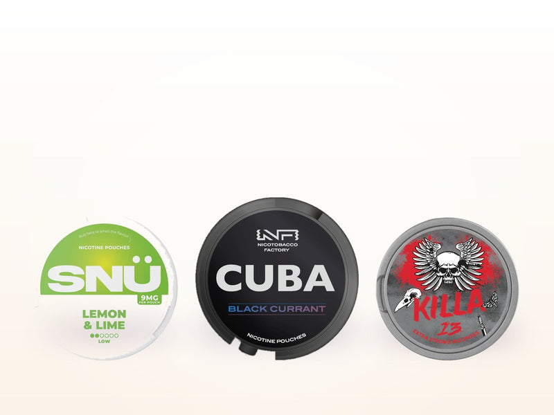 Nicotine Pouch Flavours at Vape Outlet Online