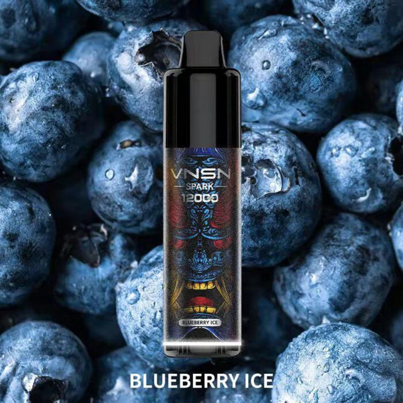 VNSN Spark 12000 – Blueberry Ice